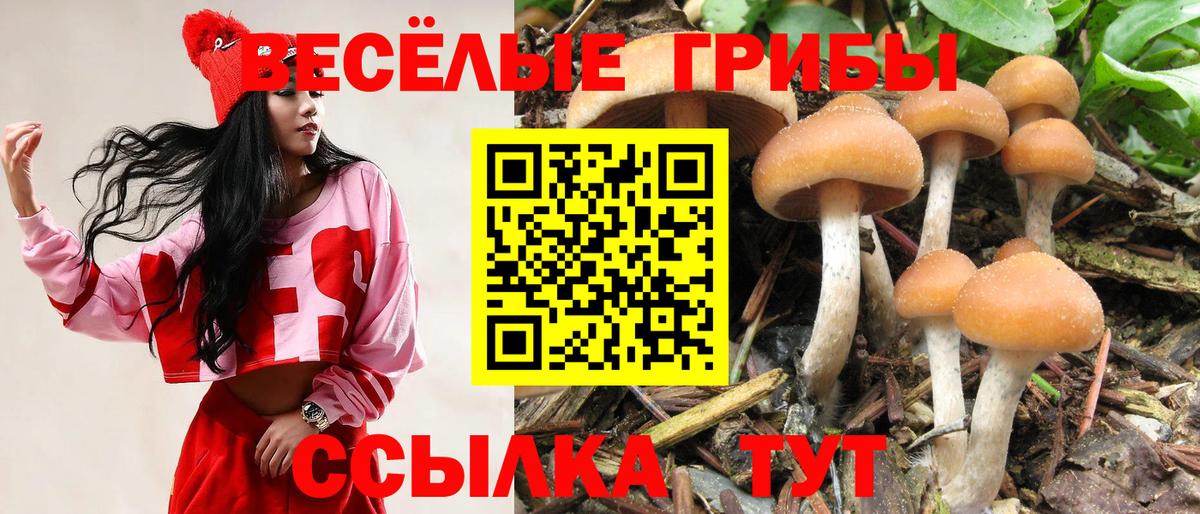 Галлюциногенные грибы Psilocybine cubensis  Вход с VPN  Киров  Галлюциногенные грибы мухоморы 